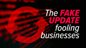 Warning graphic about fake software updates, with bold pink text 'The FAKE UPDATE' on a dark background and red code motifs in the background.